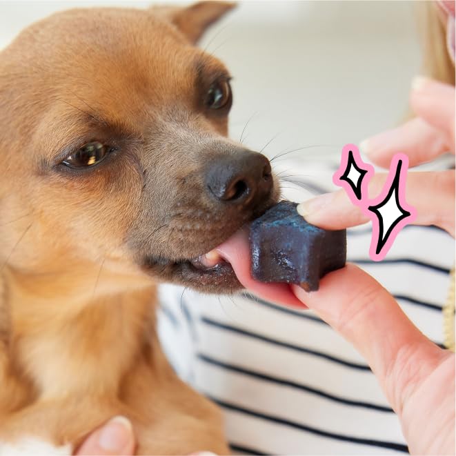 Dog Dental Chews for Fresh Breath & Clean Teeth 28 Chews V878