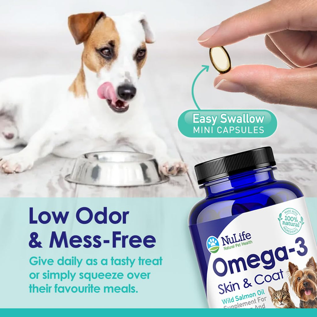 Omega 3 Fish Oil 500mg 120 Capsules B256333