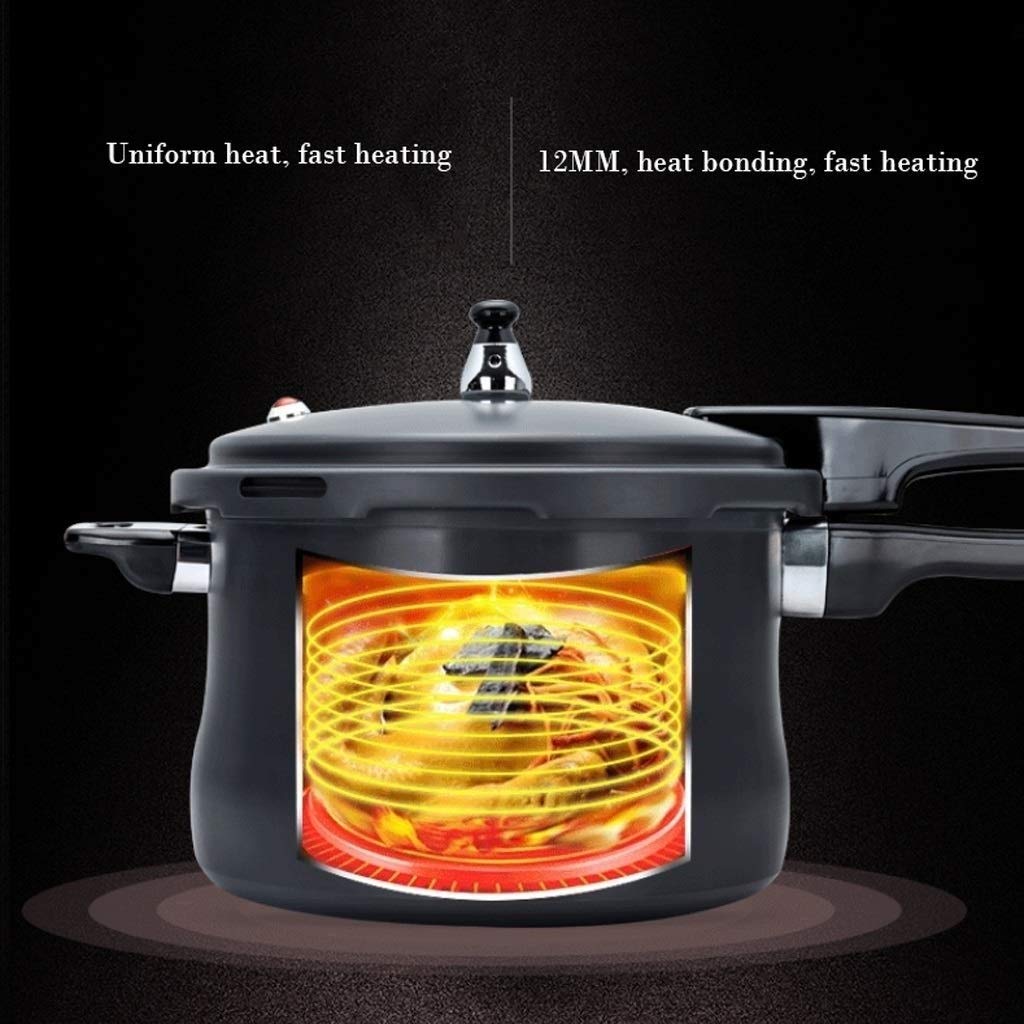 Black 3L Stainless Steel Pressure Cooker Z120057