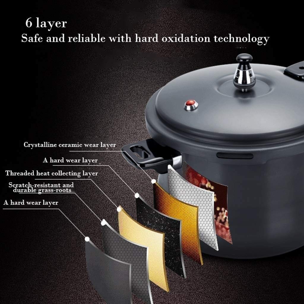 Black 3L Stainless Steel Pressure Cooker Z120057