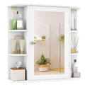 White Wall Mounted Medicine Cabinet with Mirror N3693