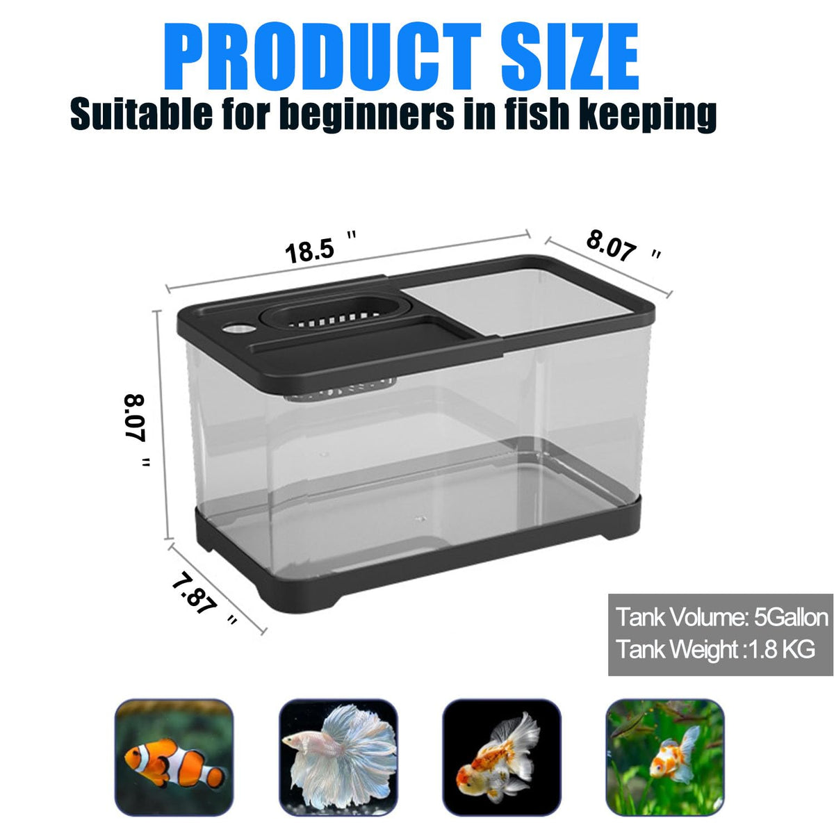 5 Gallon Plastic Aquarium Starter Kit with Filter and LED Light W2507