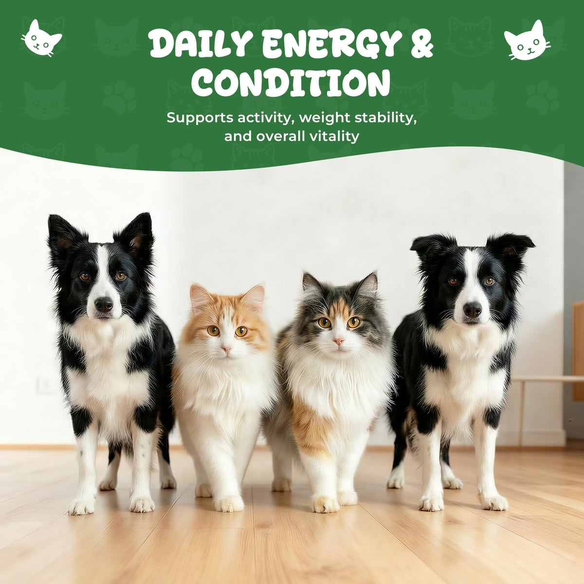 Thyroid Support for Dogs & Cats A413838