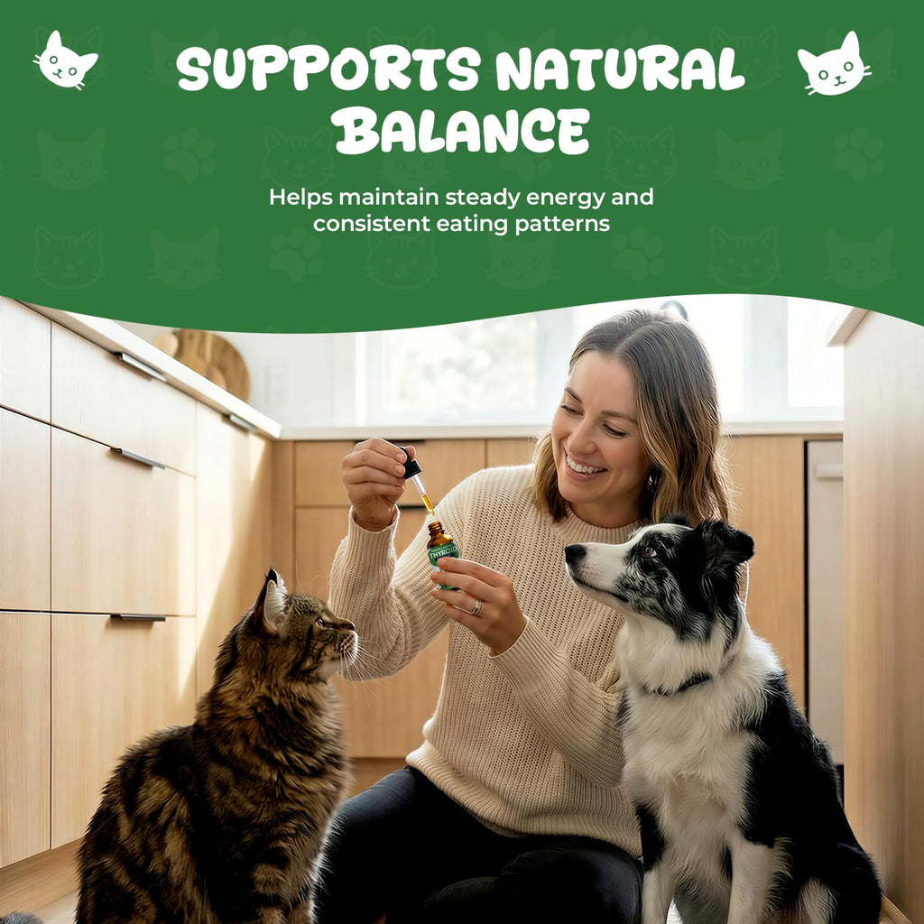 Thyroid Support for Dogs & Cats A413838