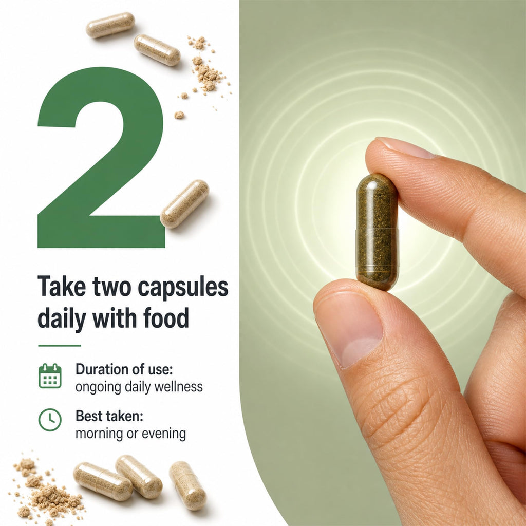 Ashwagandha 1000mg Supplement 120 Capsules T412189