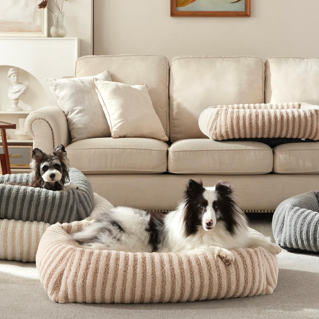 Medium Washable Dog Bed with Removable Cover Y254
