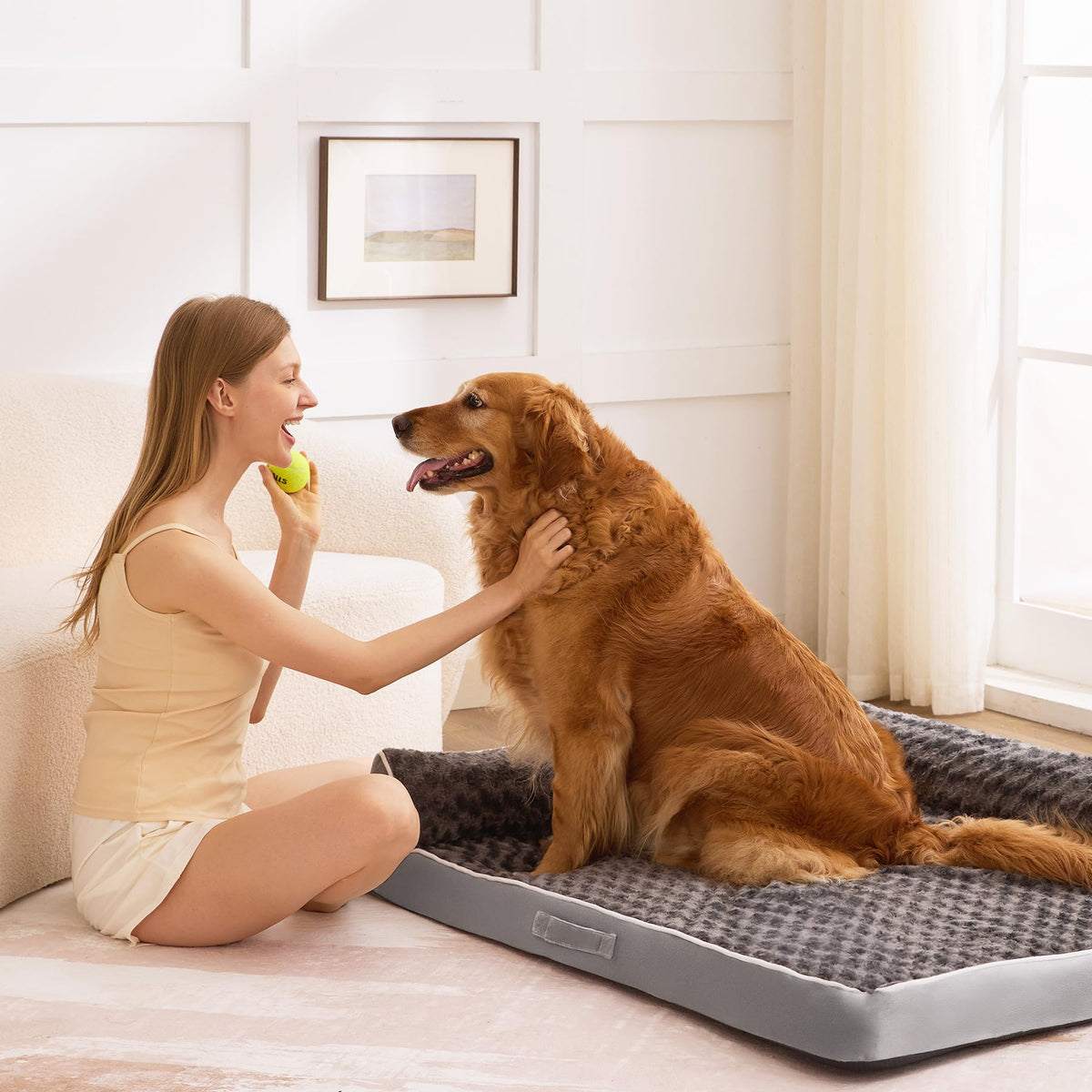 XL Orthopedic Dog Bed Grey Y5569