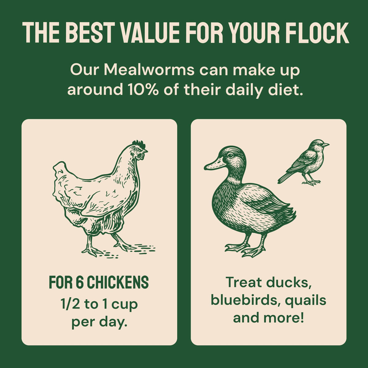 20lb Dried Mealworms Chicken Feed Q8067