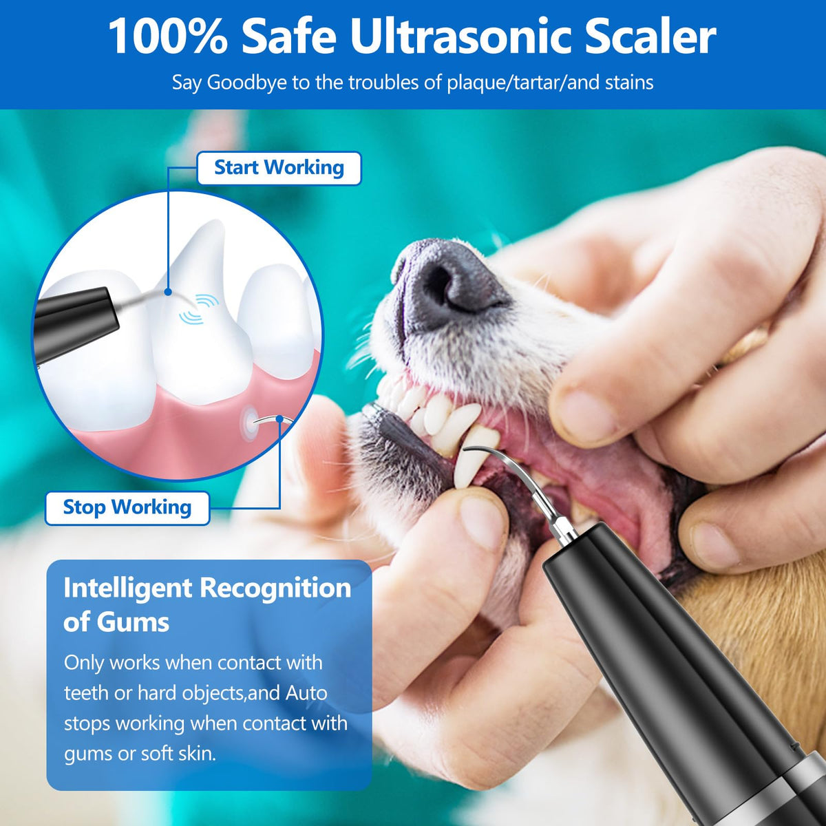 Ultrasonic Dog Teeth Cleaning Kit S4923