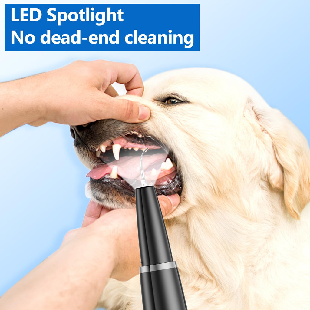 Ultrasonic Dog Teeth Cleaning Kit S4923