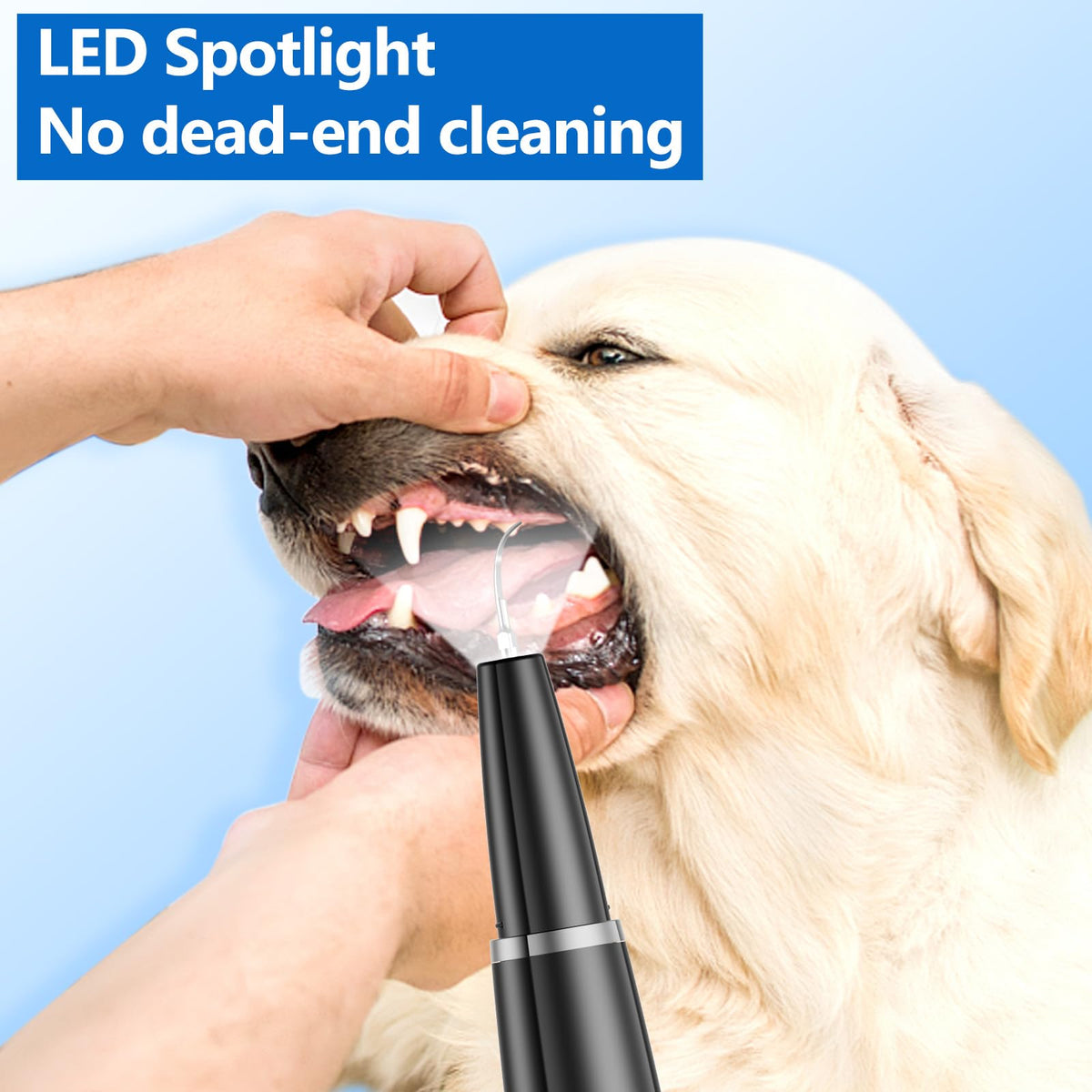 Ultrasonic Dog Teeth Cleaning Kit S4923