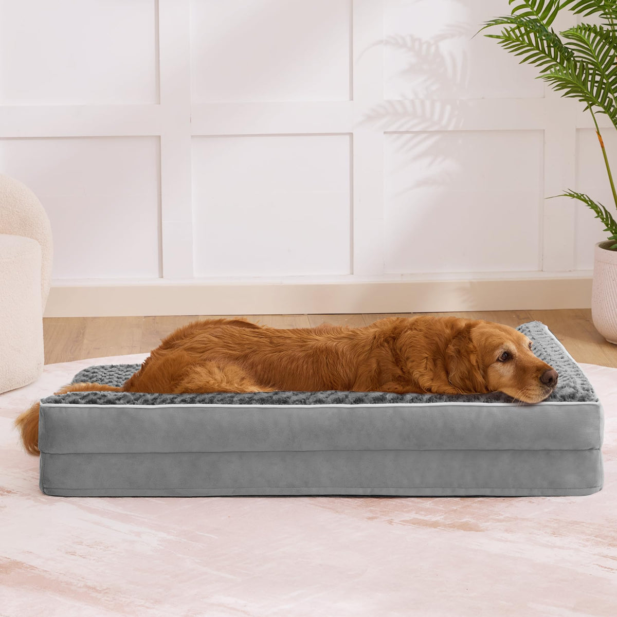 XL Orthopedic Dog Bed Grey Y5569