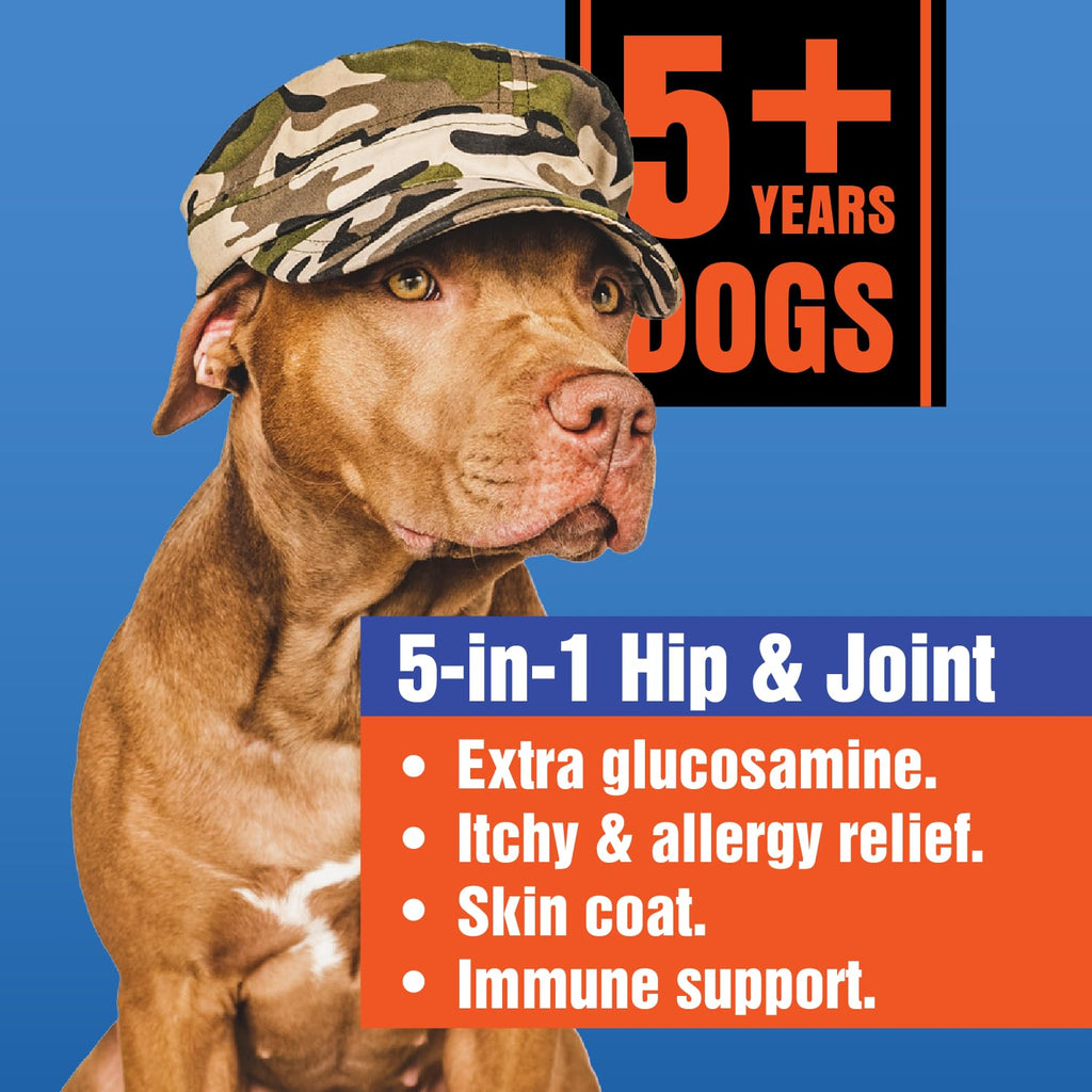 Glucosamine Hip & Joint Supplement 60 Chewable Tablet Y220