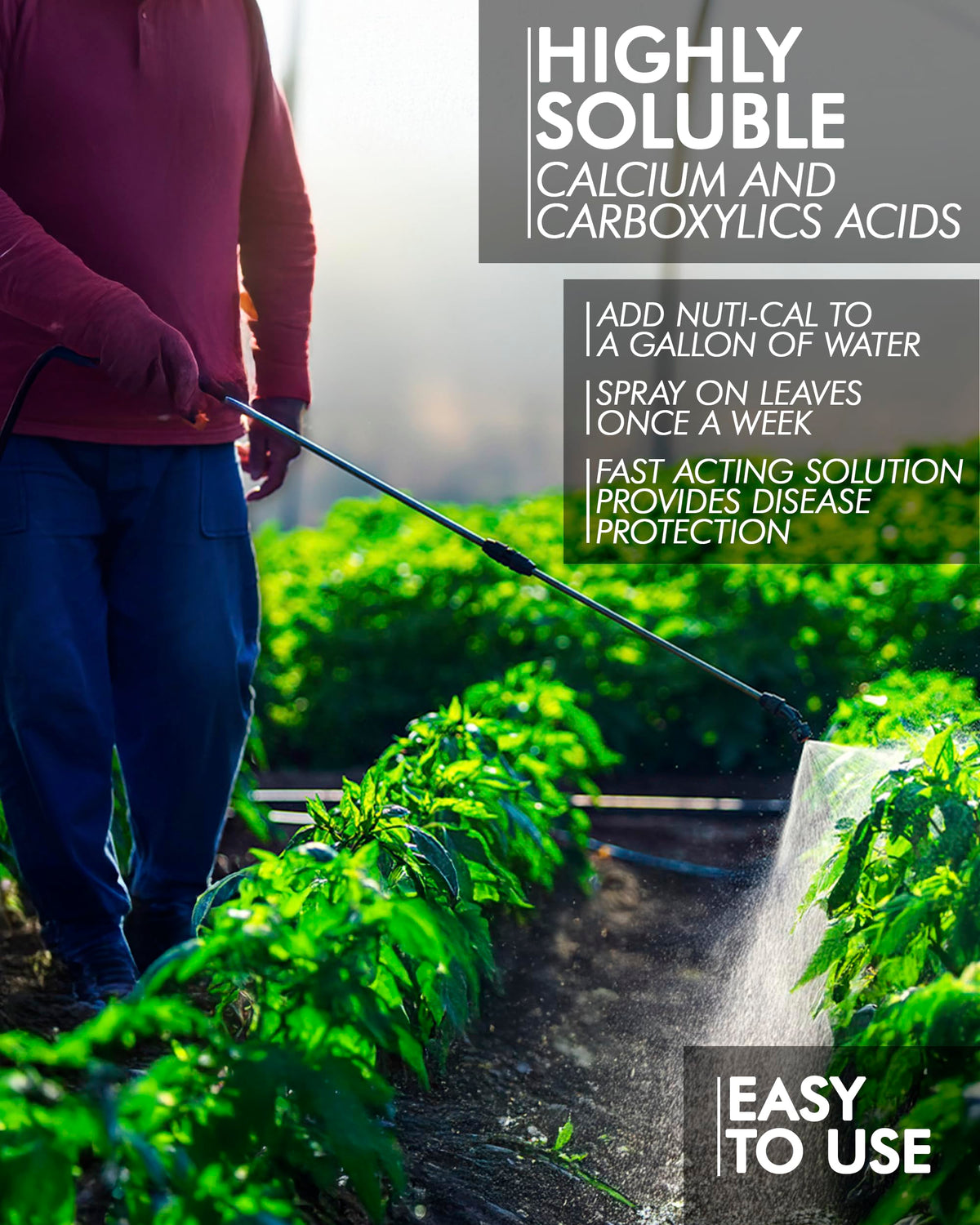 Liquid Calcium Fertilizer for Tomatoes and Vegetables O864