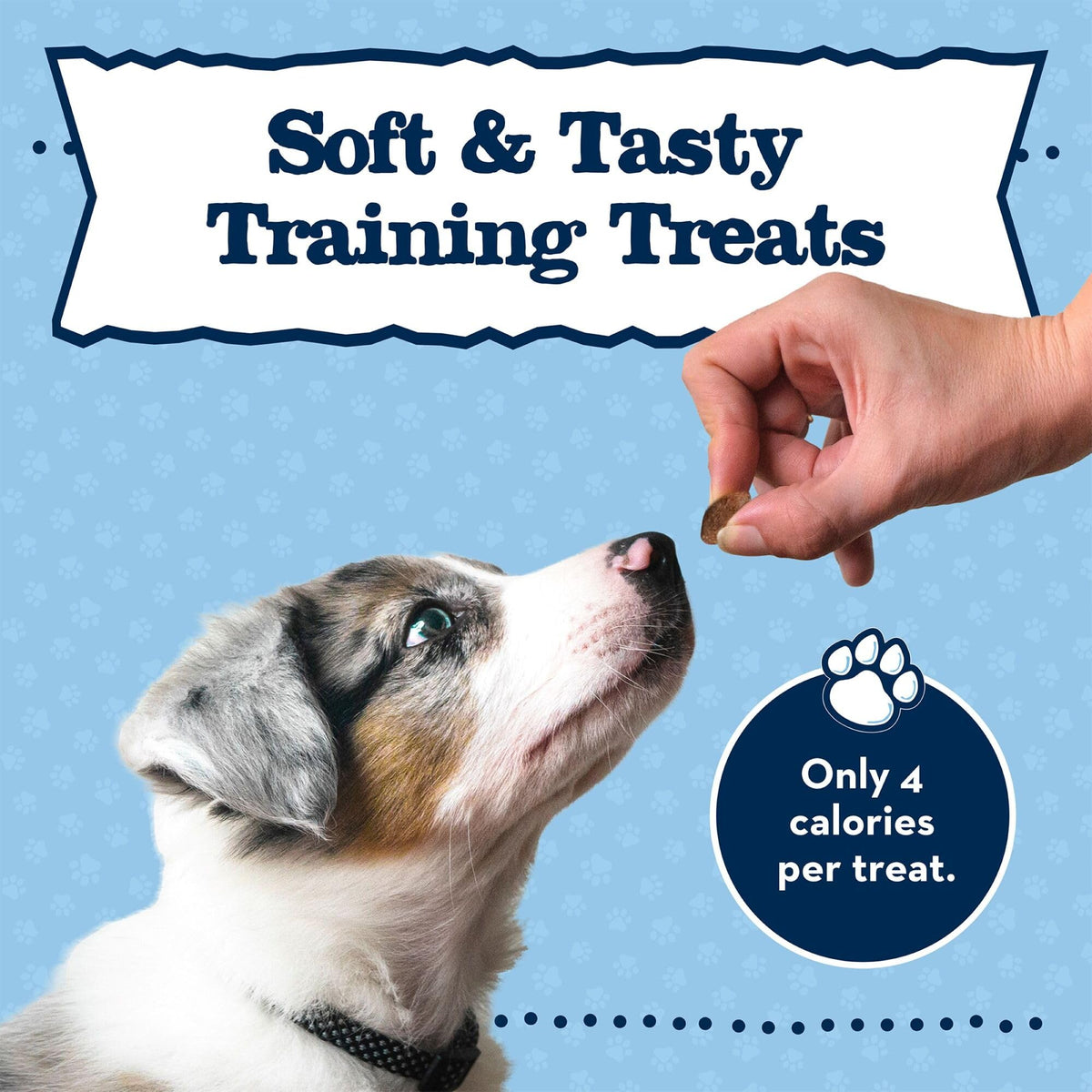 Chicken Puppy Training Treats, 4 oz L58041