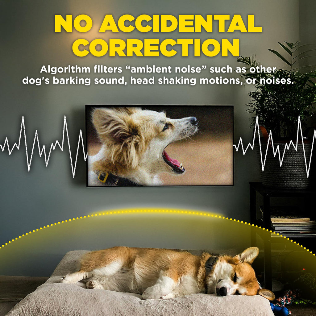 Waterproof E-Collar for 10 lb Dogs C585976