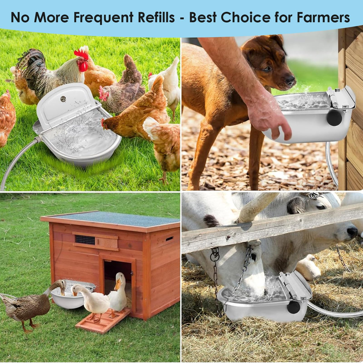 Stainless Steel Poultry Waterer Q126