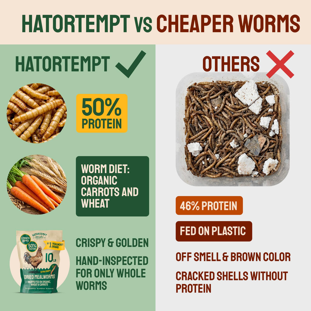 20lb Dried Mealworms Chicken Feed Q8067