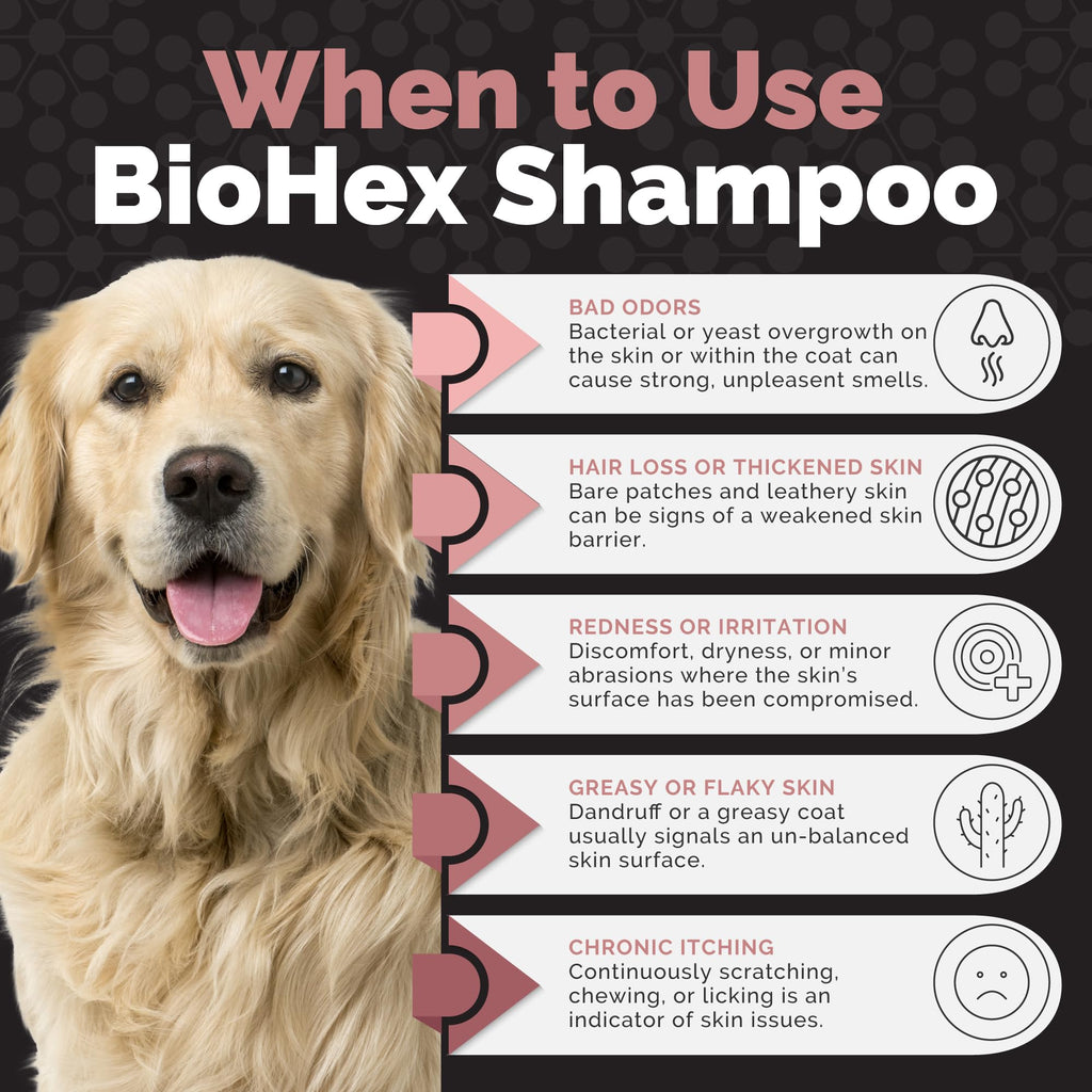 Dog Cat & Horse Shampoo 16oz R826