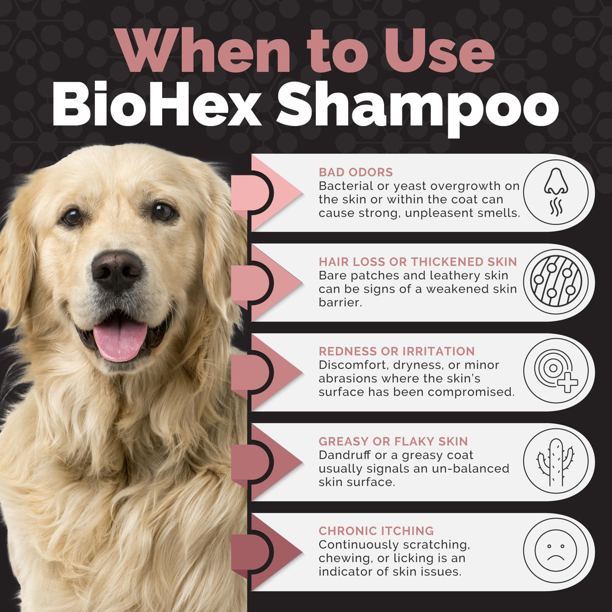 Dog Cat & Horse Shampoo 16oz R826