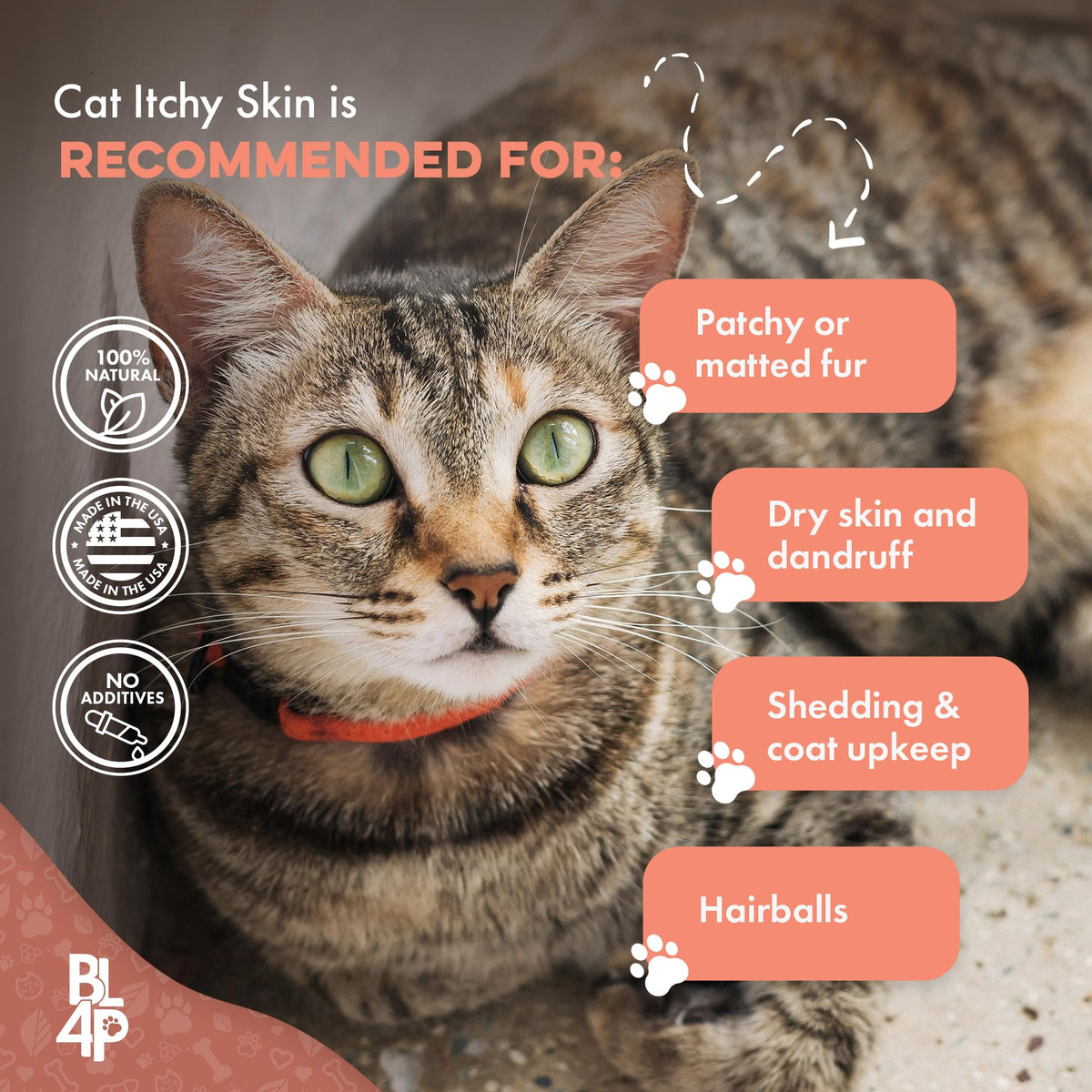 Cat Itchy Skin Relief & Hair Loss Treatment 400 Pills B23845