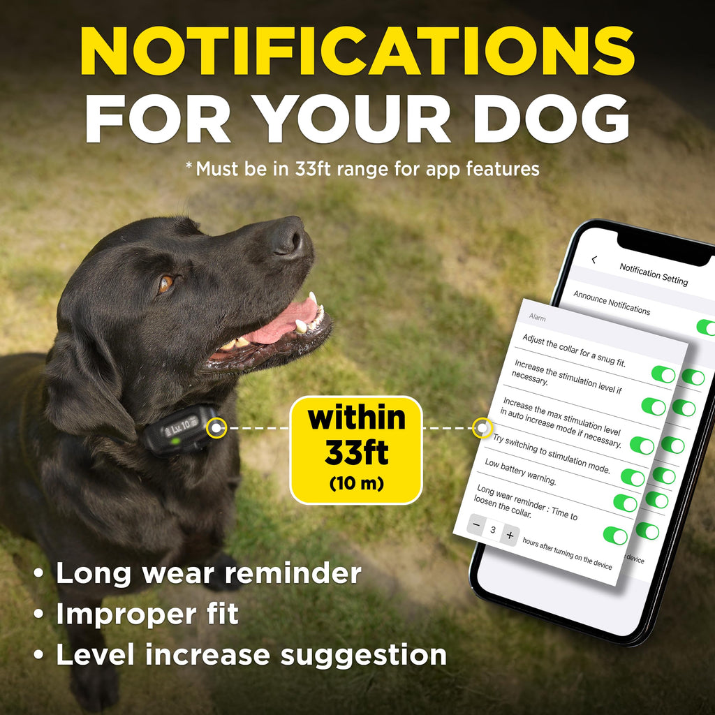 Waterproof E-Collar for 10 lb Dogs C585976