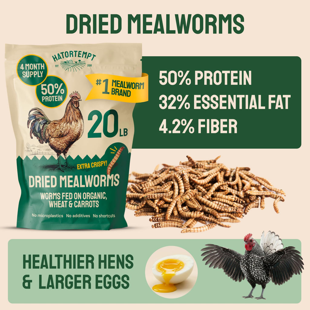 20lb Dried Mealworms Chicken Feed Q8067