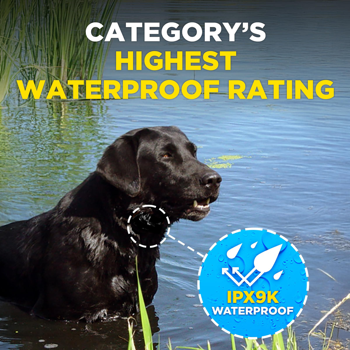 Waterproof E-Collar for 10 lb Dogs C585976