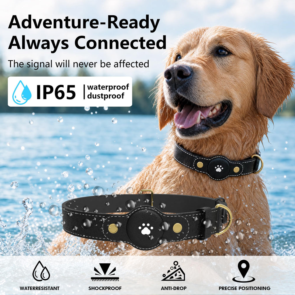 GPS Tracker for Dogs – Smart Dog Collar & Pet Tracker Y142973