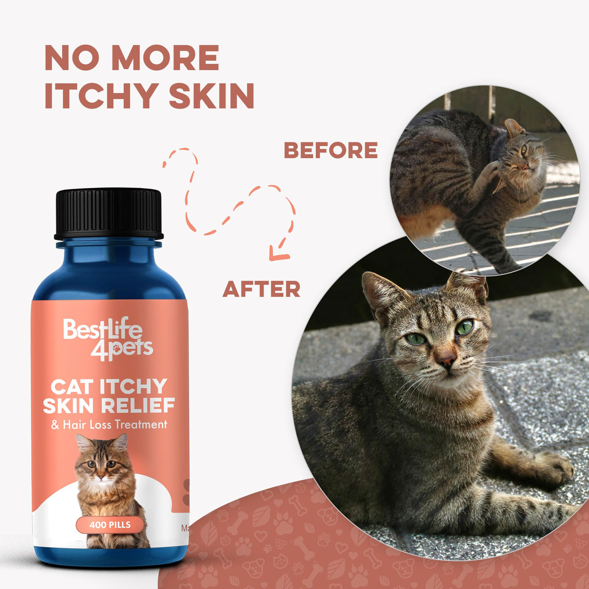 Cat Itchy Skin Relief & Hair Loss Treatment 400 Pills B23845