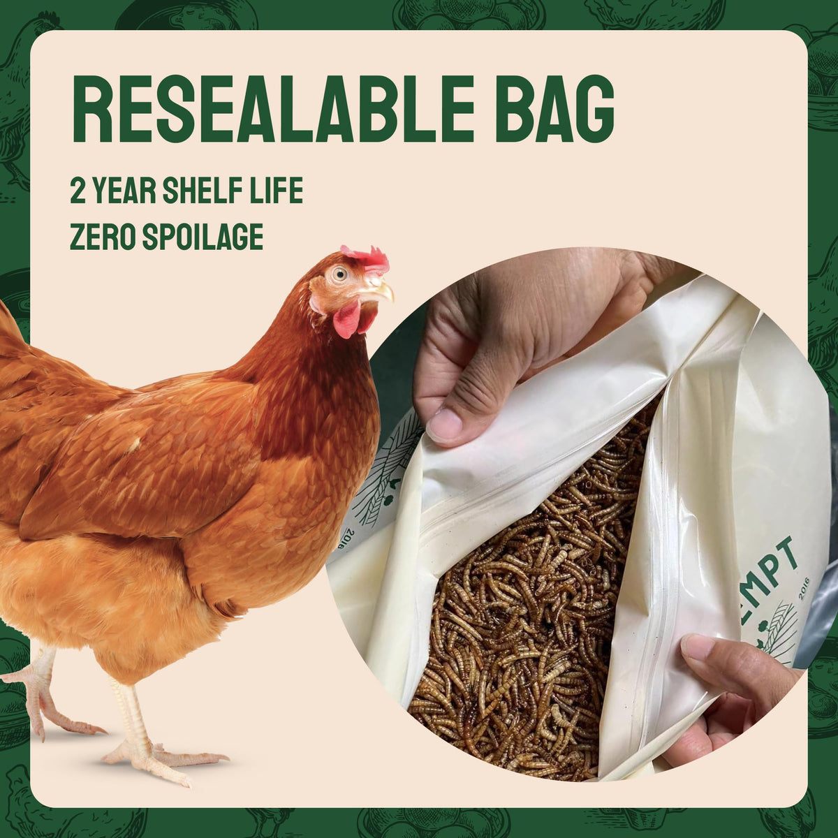20lb Dried Mealworms Chicken Feed Q8067
