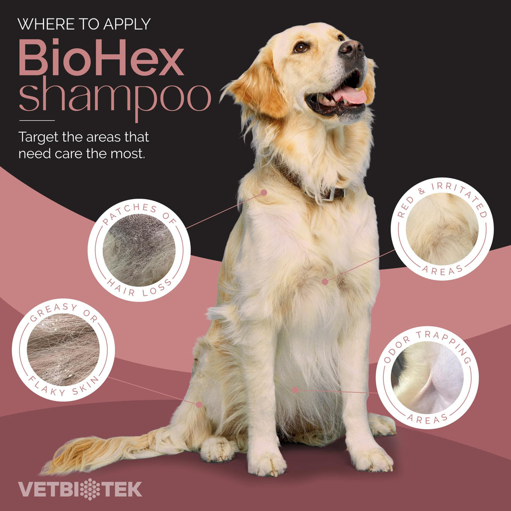 Dog Cat & Horse Shampoo 16oz R826