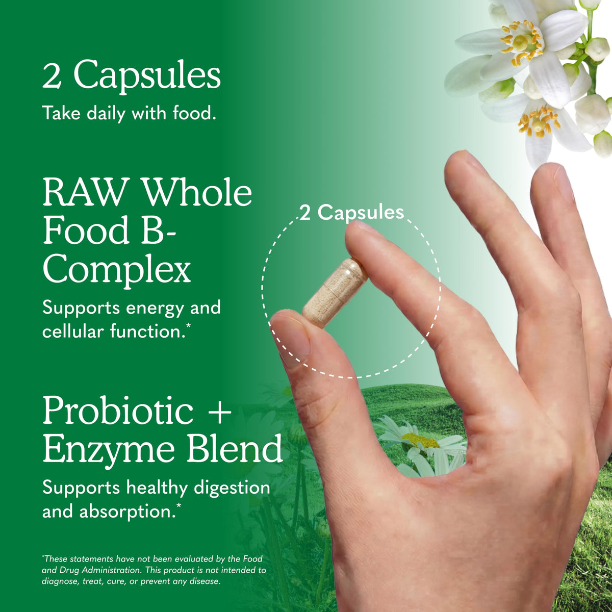 120 Vegan Capsules B-Complex N946