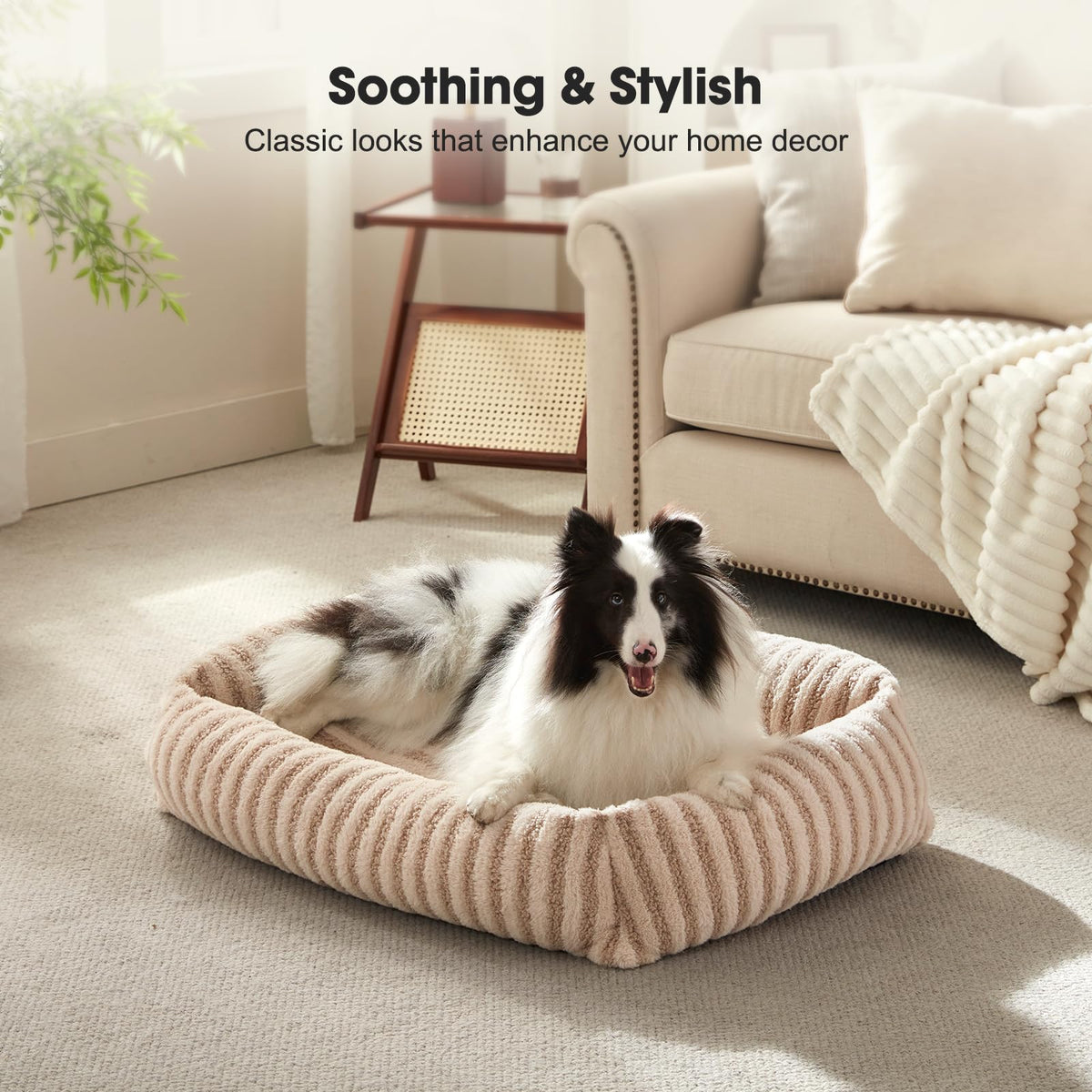 Medium Washable Dog Bed with Removable Cover Y254