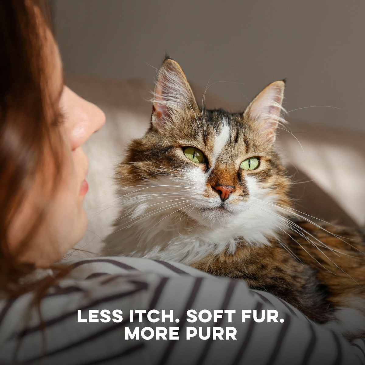 Cat Itchy Skin Relief & Hair Loss Treatment 400 Pills B23845