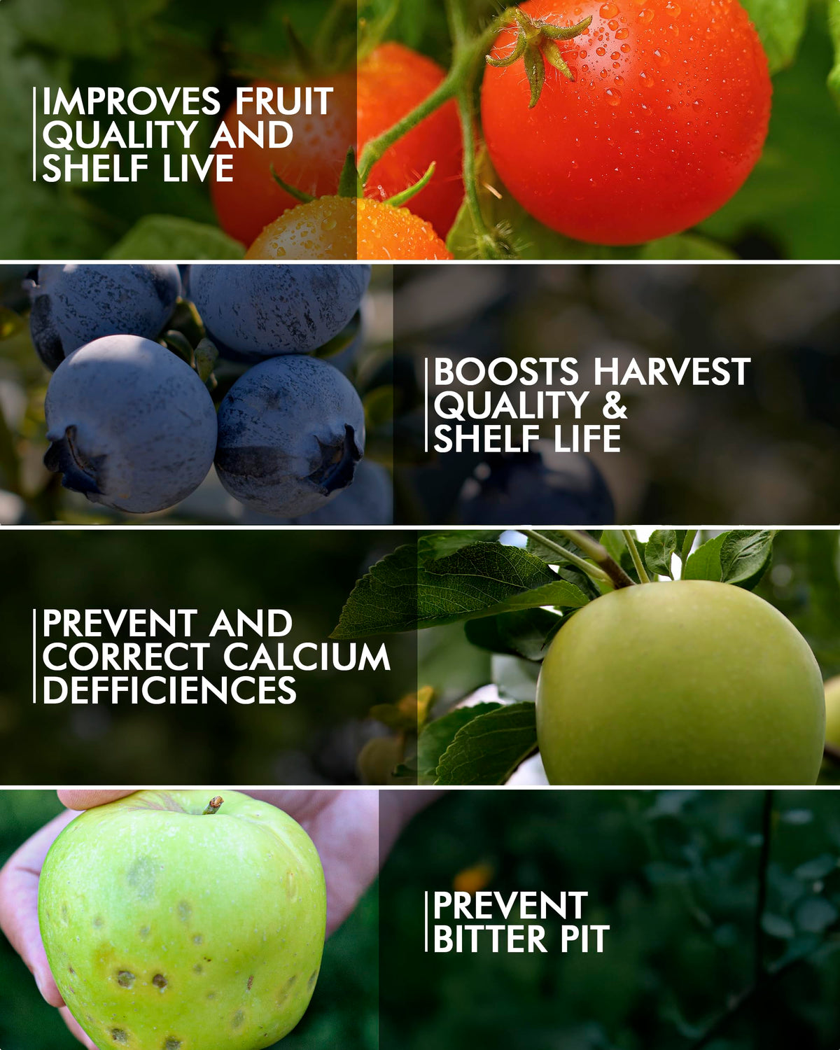 Liquid Calcium Fertilizer for Tomatoes and Vegetables O864