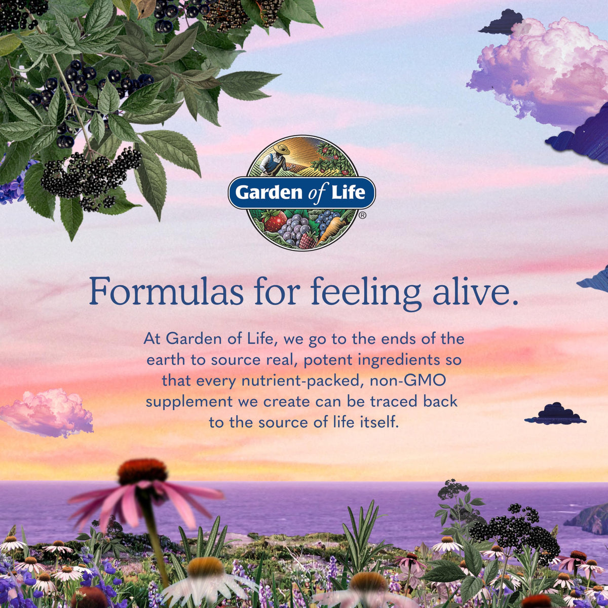 120 Vegan Capsules B-Complex N946