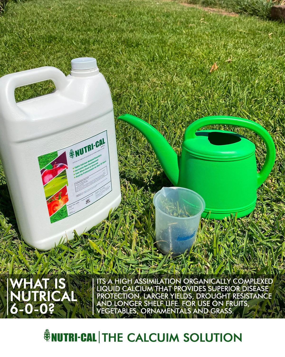 Liquid Calcium Fertilizer for Tomatoes and Vegetables O864