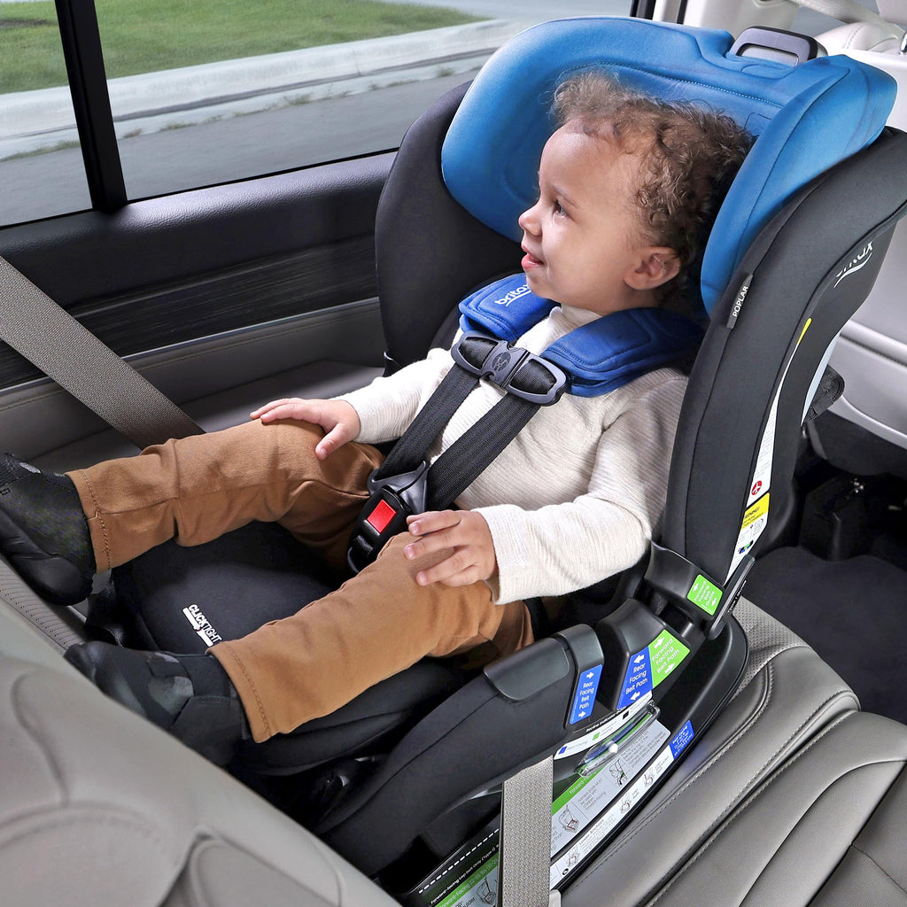Convertible Car Seat U316690