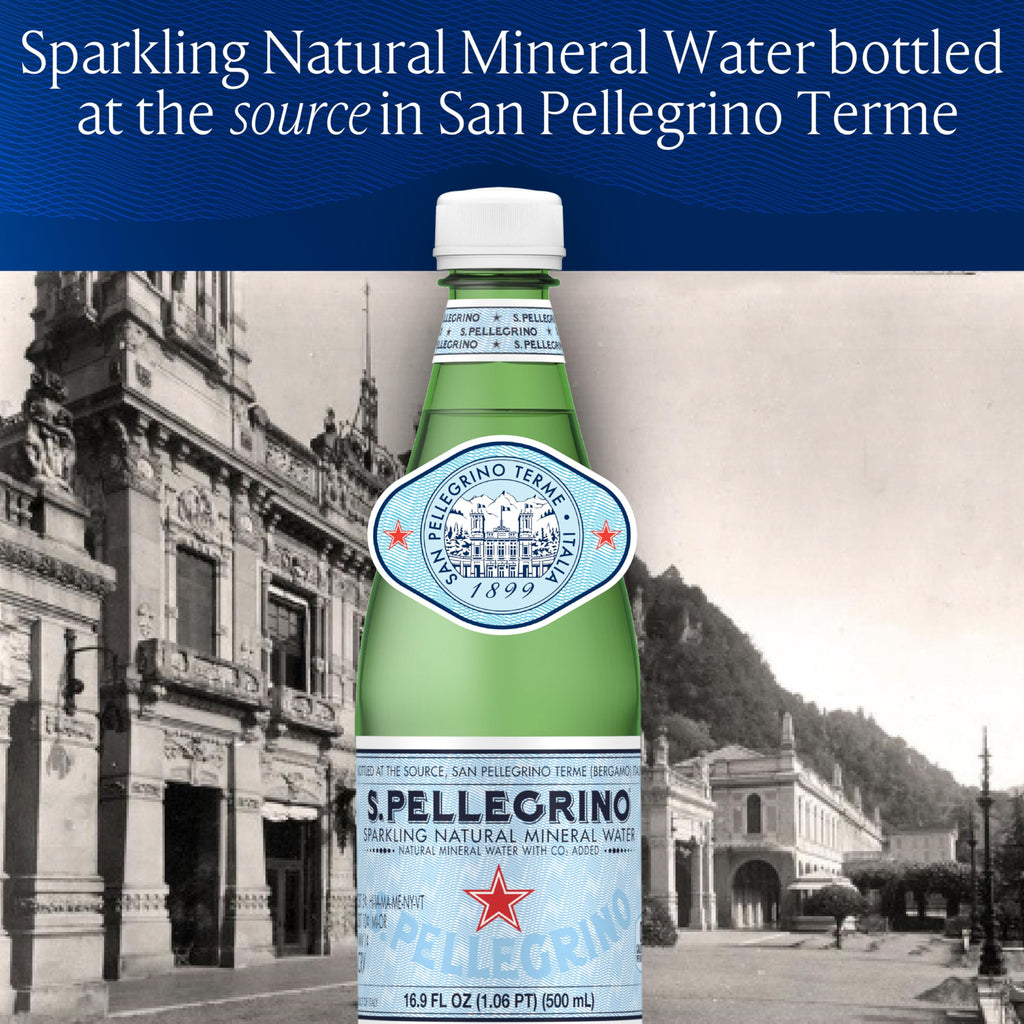 Sparkling Natural Mineral Water 33.8 fl oz Pack of 12 V80194